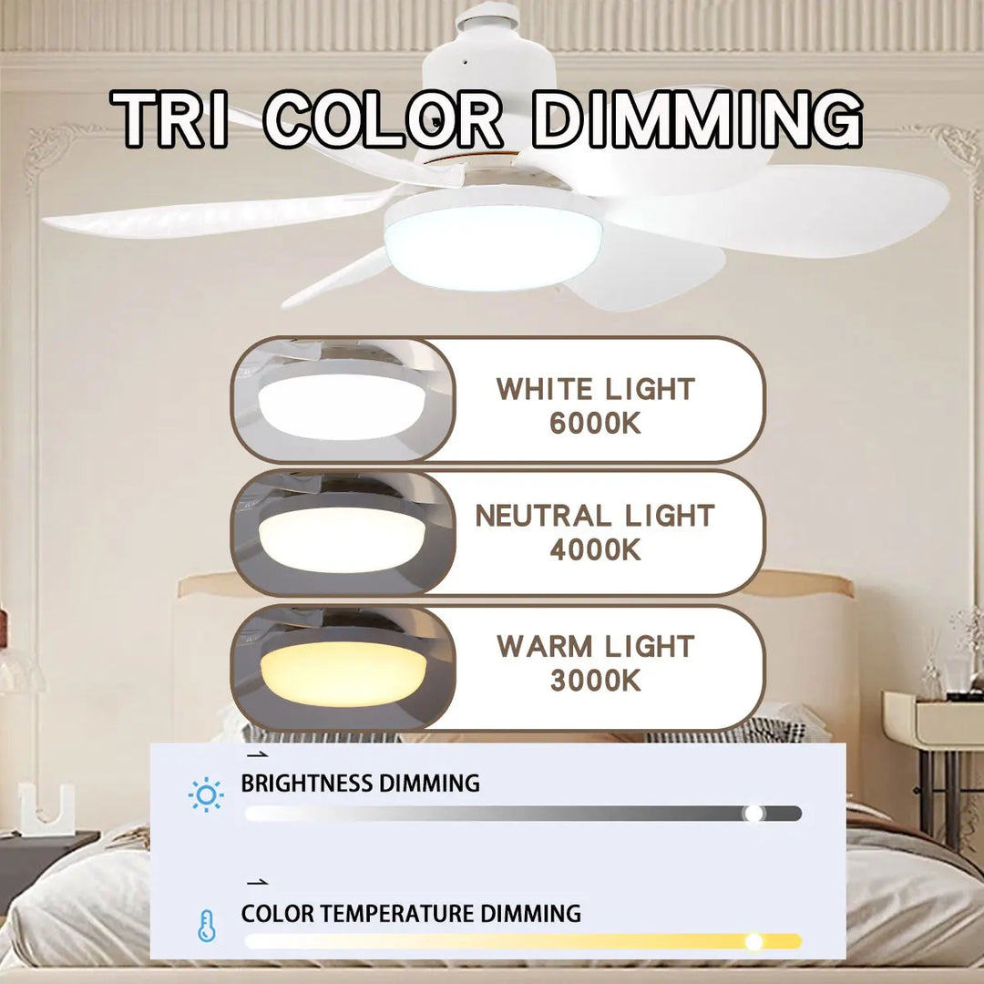 Remote-Control Ceiling Fan Light